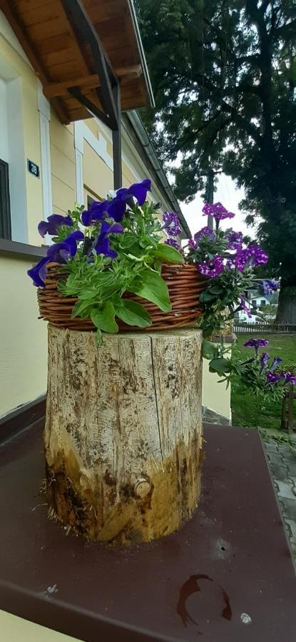 Penzion U Draci Skaly Svojse Exterior photo